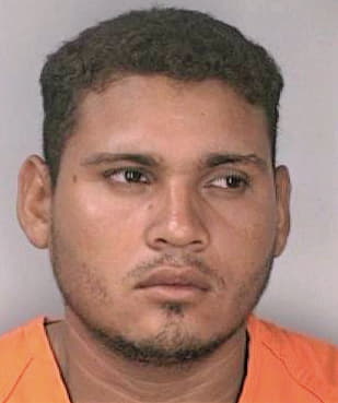 Vazquez Pedro - Hillsborough County, FL 