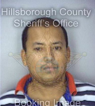 Gutierrez Carlos - Hillsborough County, FL 