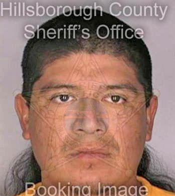 Hernandez Rogelio - Hillsborough County, FL 