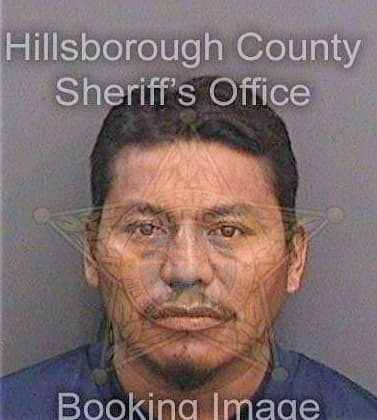 Martinezhernandez Domingo - Hillsborough County, FL 