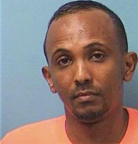 Ahmed Ahmed - Stearns County, MN 