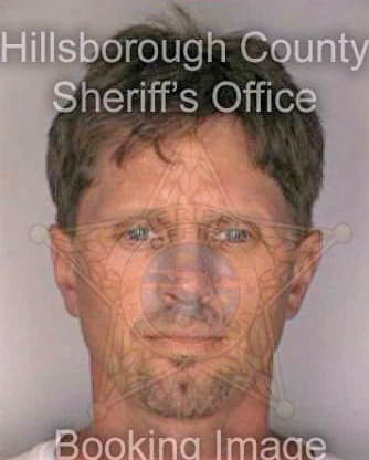 Michel David - Hillsborough County, FL 