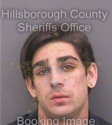 Howell William - Hillsborough County, FL 