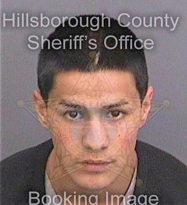 Villalobos Jose - Hillsborough County, FL 