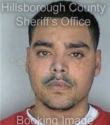 Sierra Benjamin - Hillsborough County, FL 