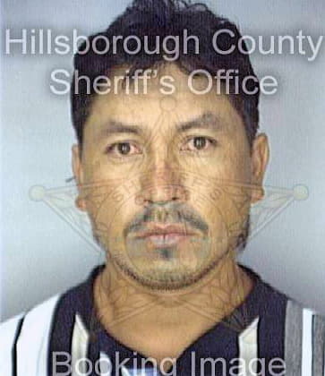 Vasquez Valentin - Hillsborough County, FL 