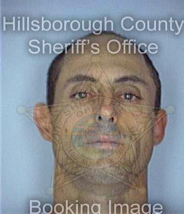 Borriello Gregory - Hillsborough County, FL 
