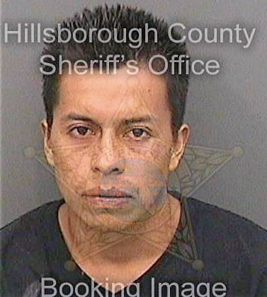 Ramoschzlel Honorio - Hillsborough County, FL 