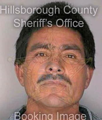 Gonzalez Pedro - Hillsborough County, FL 