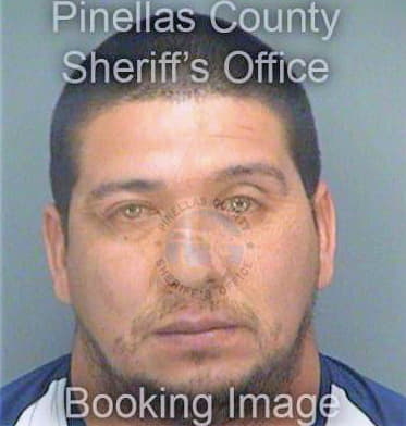 Elizondo Jose - Pinellas County, FL 