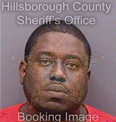 Sherman Brian - Hillsborough County, FL 