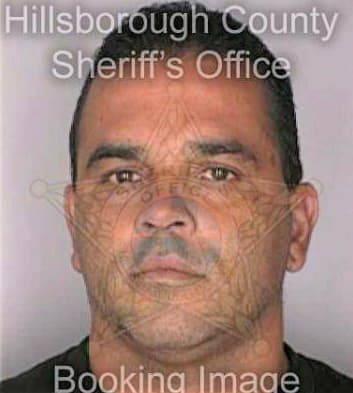 Ortiz Ismael - Hillsborough County, FL 