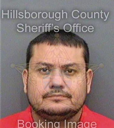 Calvosagahon Rigoberto - Hillsborough County, FL 