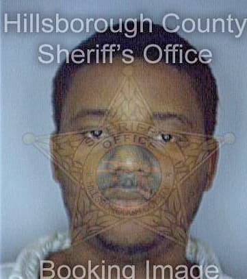 Holloman Aaron - Hillsborough County, FL 