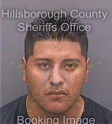 Martinez Javier - Hillsborough County, FL 