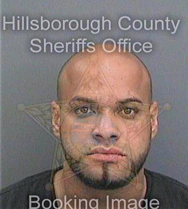 Jorge Leandro - Hillsborough County, FL 