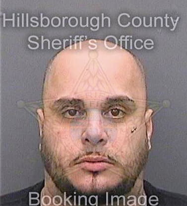 Pineda Anthony - Hillsborough County, FL 