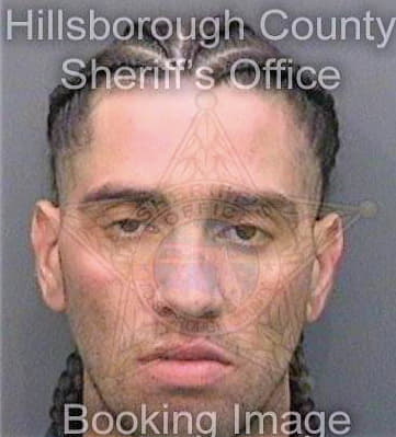 Matosbermudez Eric - Hillsborough County, FL 