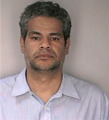 Ramirez Vinicio - Hillsborough County, FL 