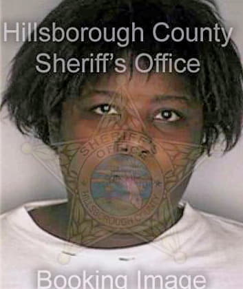 Sims Sylvia - Hillsborough County, FL 