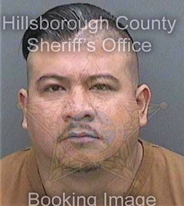 Chavezramirez Irving - Hillsborough County, FL 