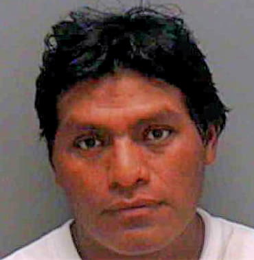 Sebastian Juan - Lee County, FL 