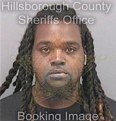 Borgelin Simon - Hillsborough County, FL 