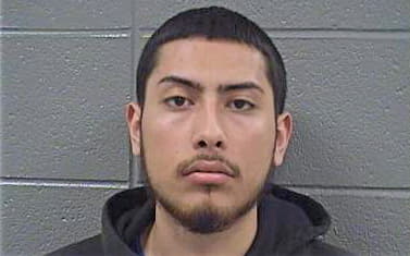 Ibarra Manuel - Cook County, IL 