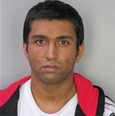 Patel Ronak - Hillsborough County, FL 