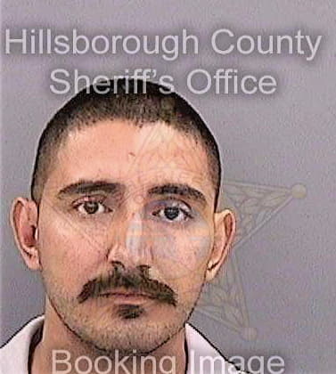 Ramos Salvador - Hillsborough County, FL 