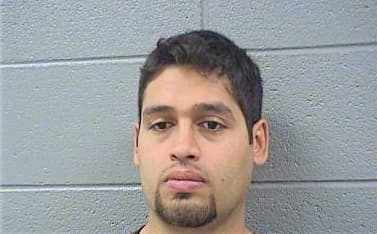 Hernandez John - Cook County, IL 