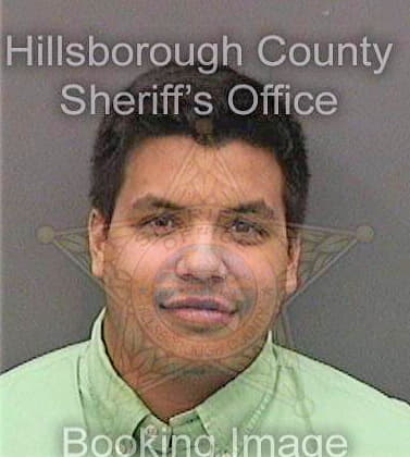 Vallejo David - Hillsborough County, FL 