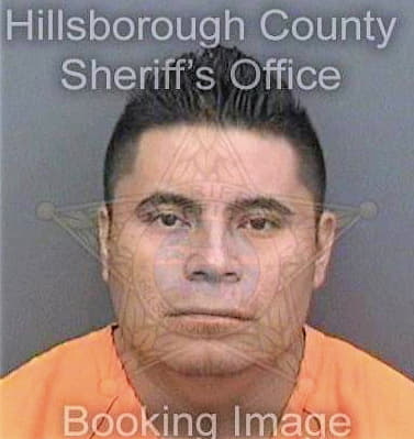 Delacruzgomez Manuel - Hillsborough County, FL 