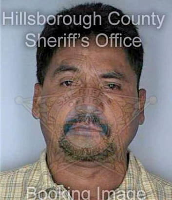 Sanchez Armando - Hillsborough County, FL 