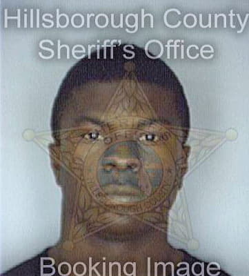 Jenkins Darrius - Hillsborough County, FL 