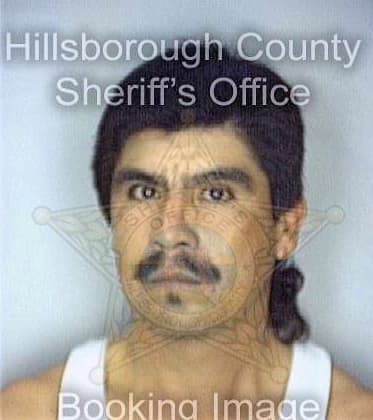 Martinez Laureano - Hillsborough County, FL 