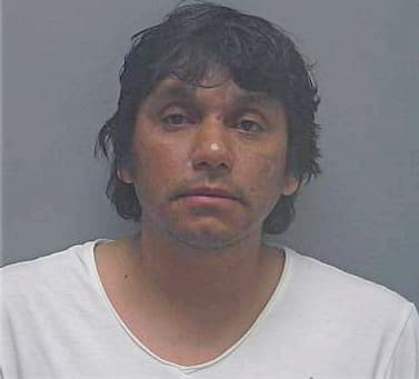Vargas-Olmeda Luis - Lee County, FL 