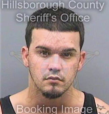 Perez Yorlandis - Hillsborough County, FL 