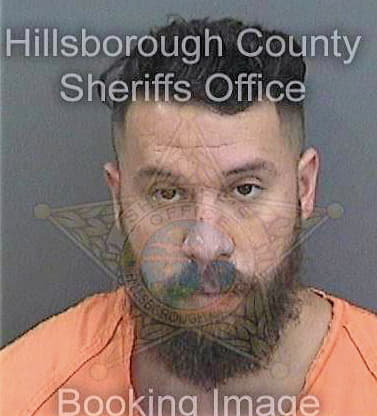 Perea Michael - Hillsborough County, FL 