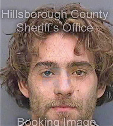 Mitchell Alexander - Hillsborough County, FL 