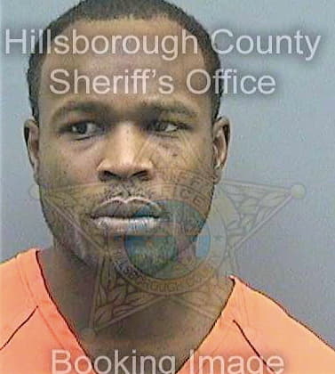 Levy Joshua - Hillsborough County, FL 