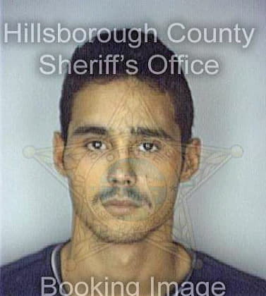 Rios Eliezer - Hillsborough County, FL 