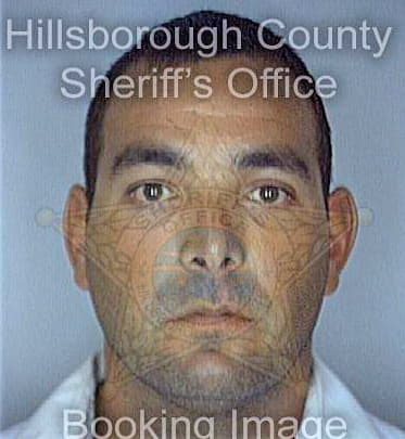 Hernandez Jeffrey - Hillsborough County, FL 
