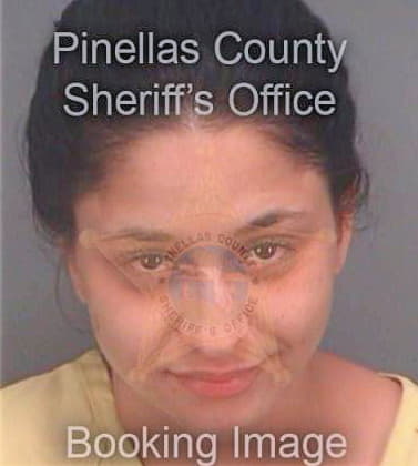 Perez Sheila - Pinellas County, FL 