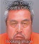 Enciso Umberto - Pinellas County, FL 