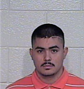 Maldonado Manuel - Hidalgo County, TX 