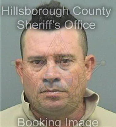 Mejia Carlos - Hillsborough County, FL 