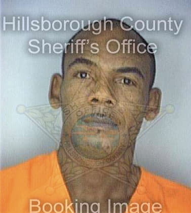 Fleming John - Hillsborough County, FL 