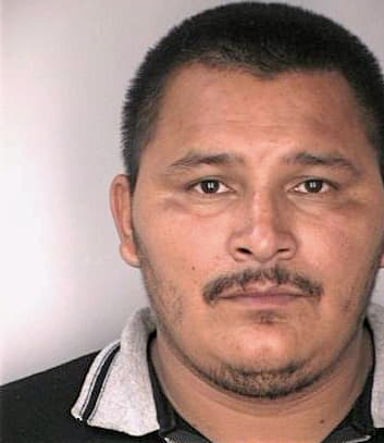 Mendoza Jose - Hillsborough County, FL 