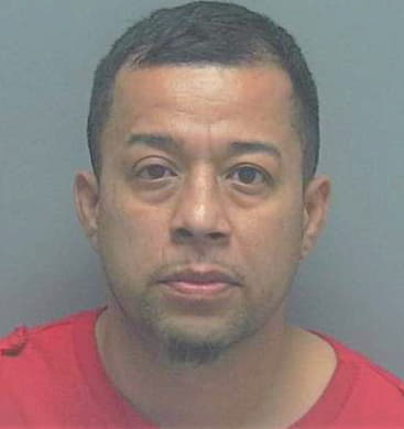 Hernandez Miguel - Lee County, FL 